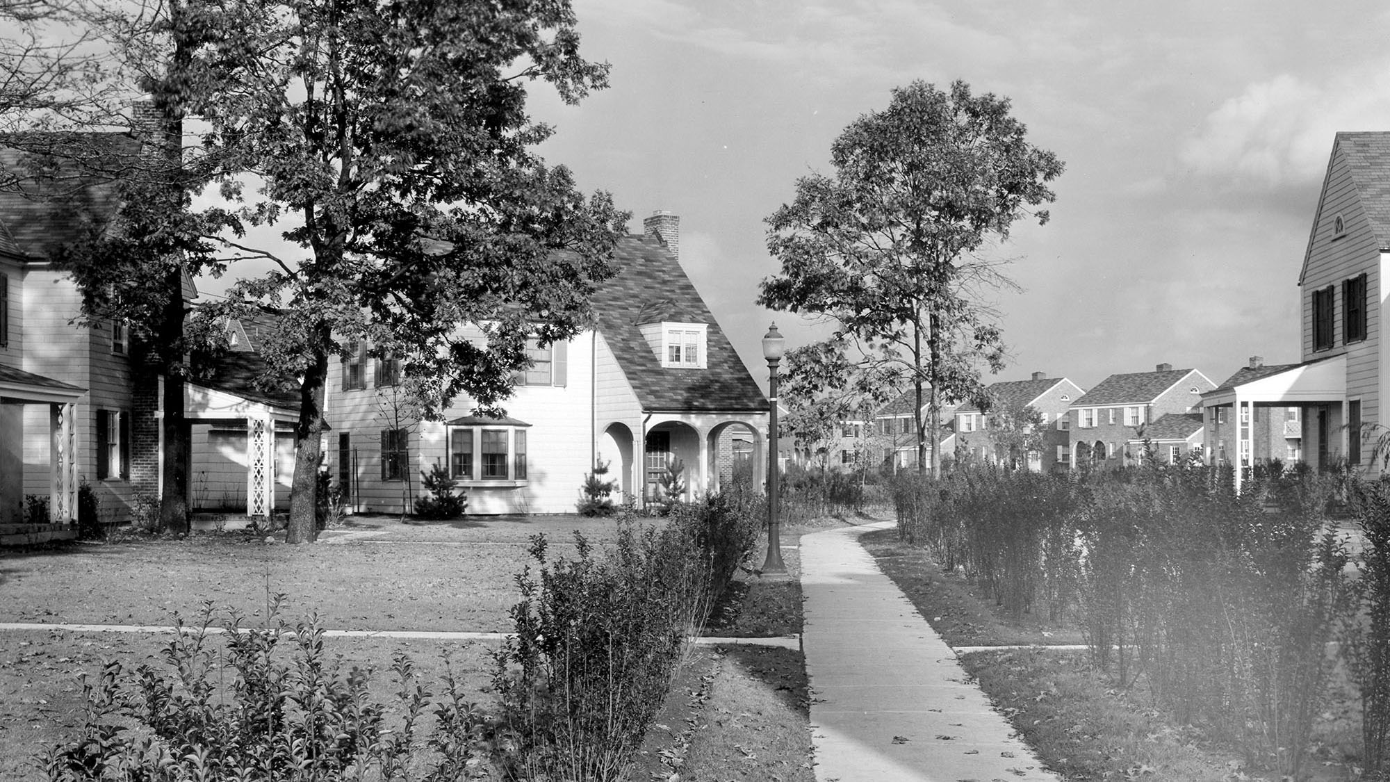 A Radburn lane from inside the superblock. Plantings by Marjorie Sewell Cautley, a pioneering landscape architect partnered with Stein and Wright since Sunnyside Gardens, 1924.