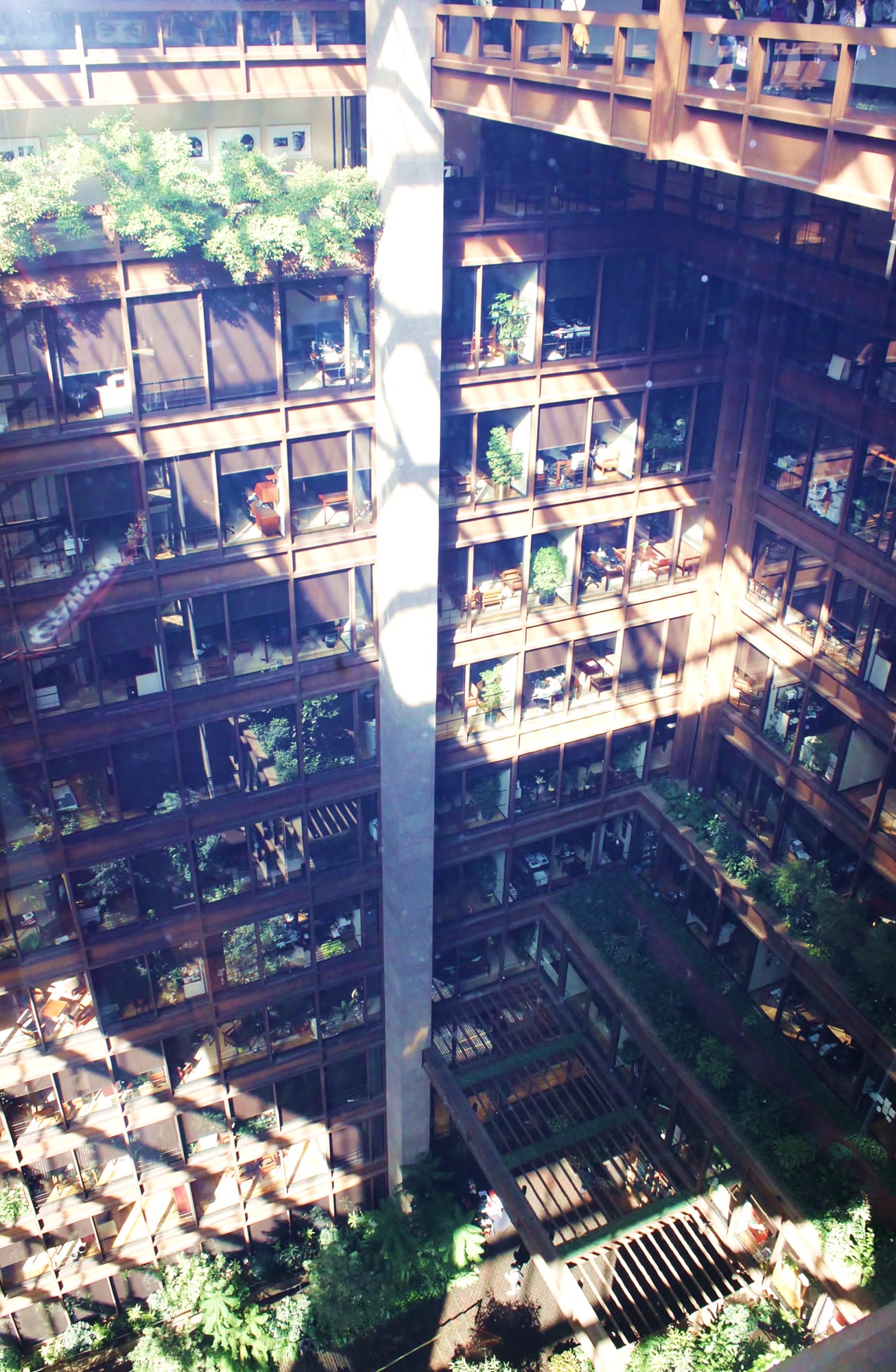 Desks on the upper floors of the Ford Foundation looking down into the atrium. While the design succeeds in creating visual community, it highlights a distinct spatial boundary: observing a colleague across a void is fundamentally different from serendipitously encountering them in a shared physical corridor.
